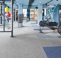 Flotex Colour Canyon 50*50 t 545024 Canyon Cloud фото 2 | FLOORDEALER